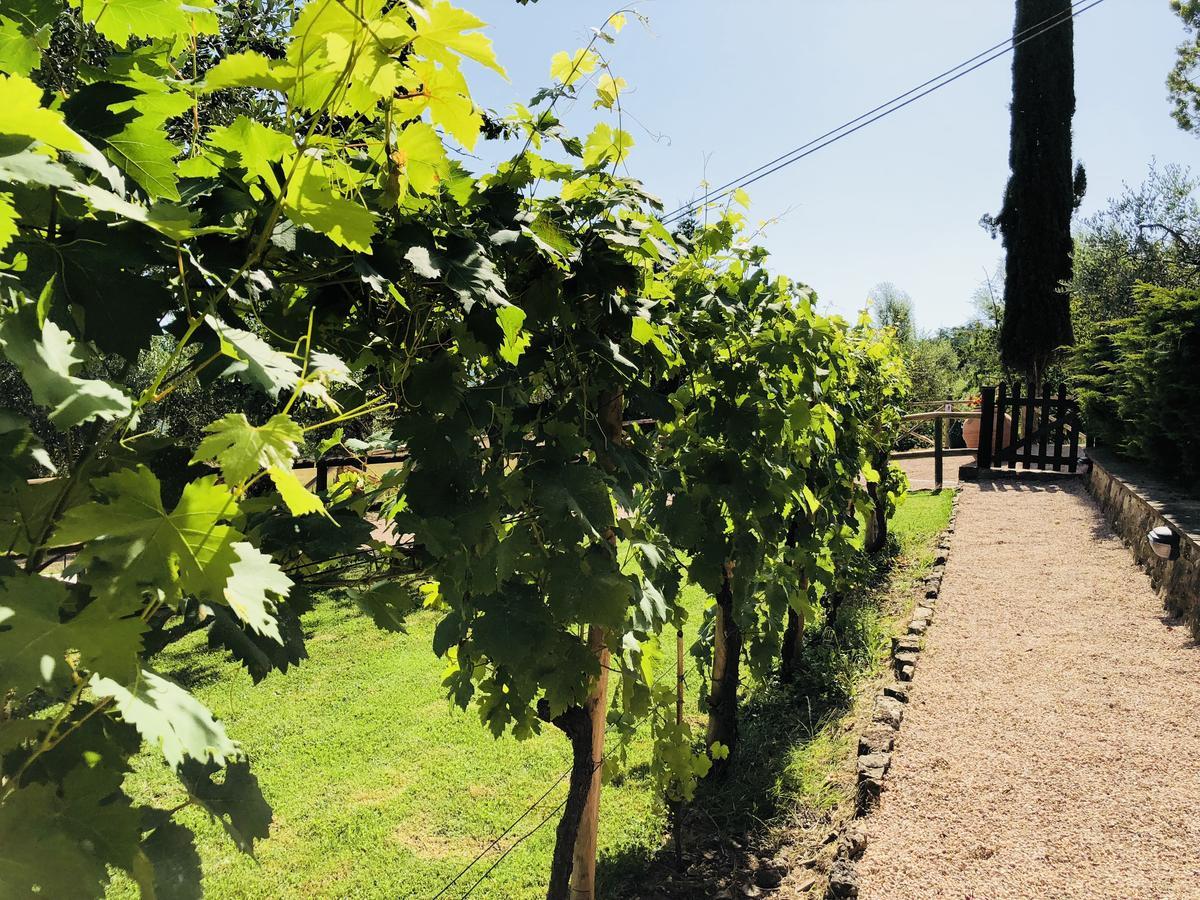 Agriturismo Borgo Il Bonagino Radda in Chianti Bagian luar foto
